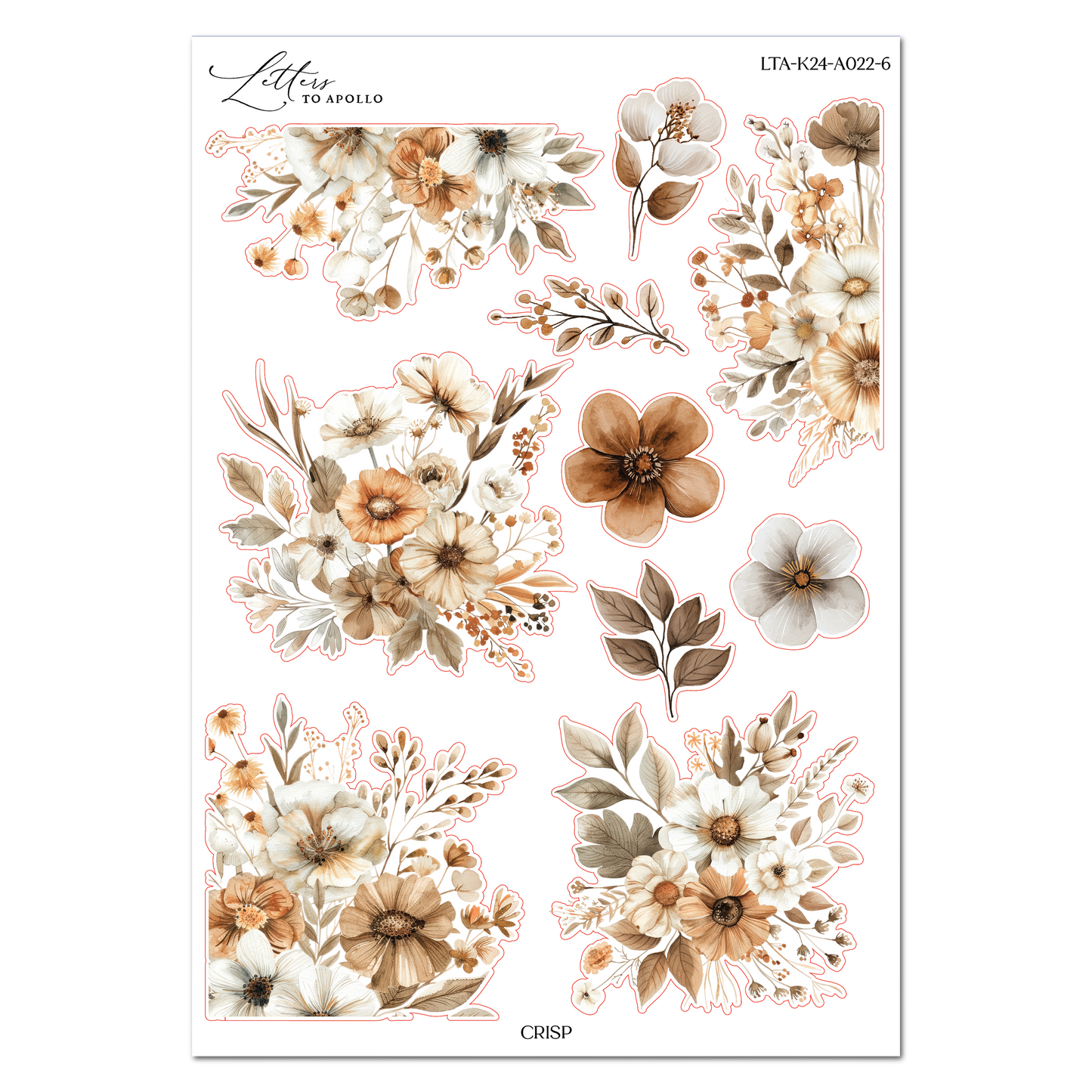 CRISP JUMBO FLORAL