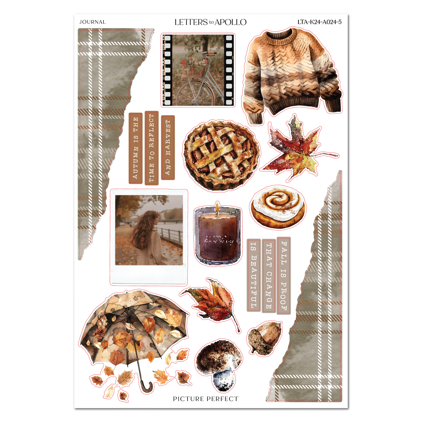 PICTURE PERFECT JOURNAL