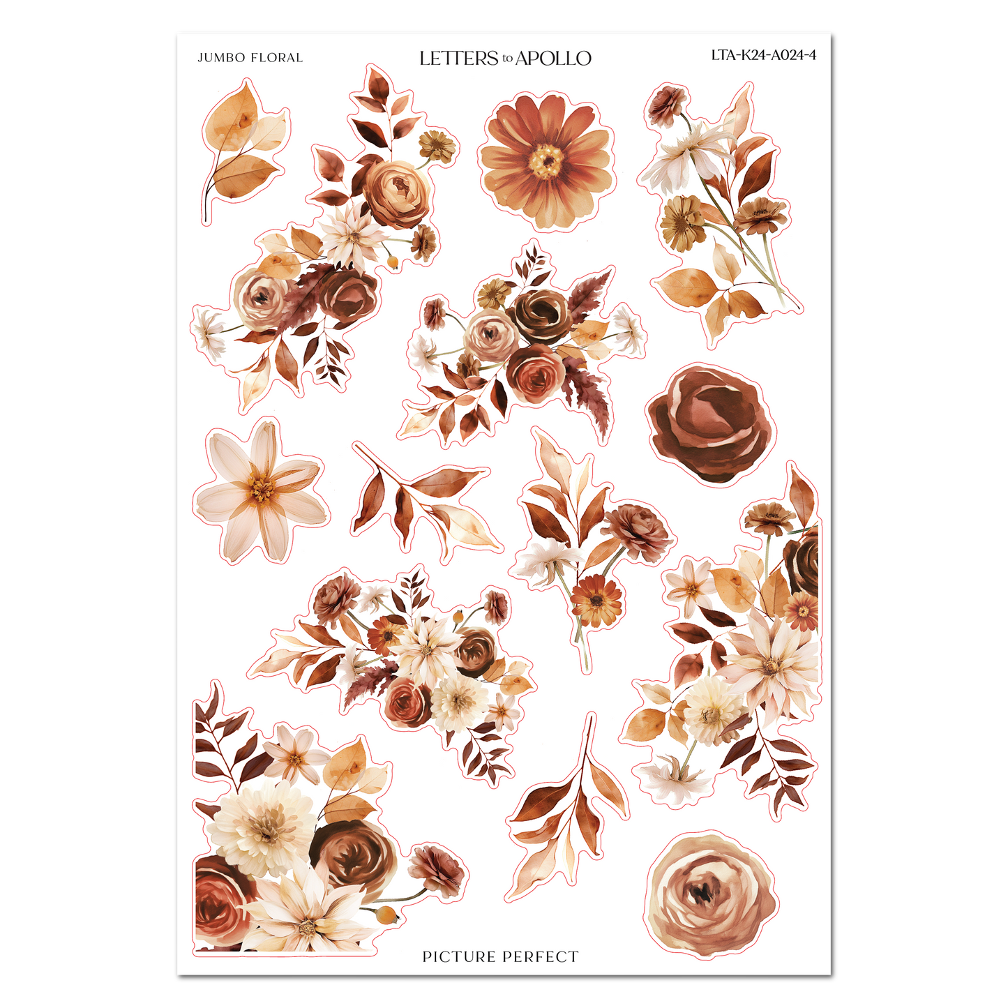 PICTURE PERFECT JUMBO FLORAL
