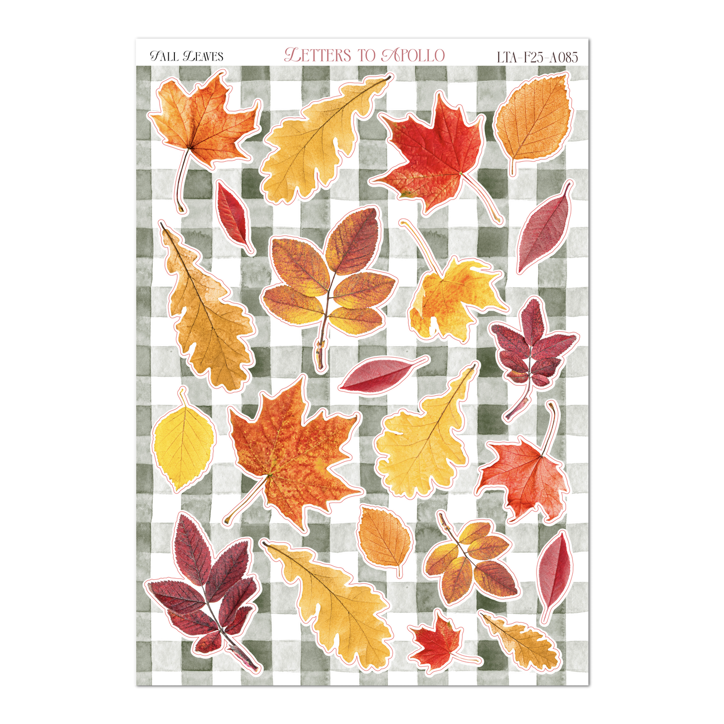 FALL LEAVES