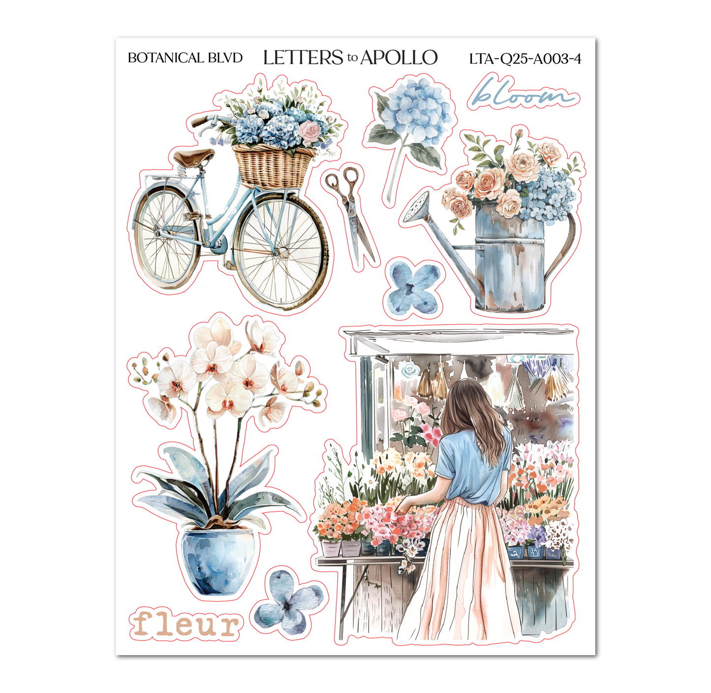 BOTANICAL BLVD BUNDLE