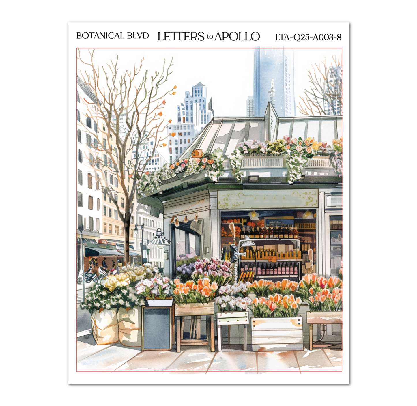 BOTANICAL BLVD BUNDLE