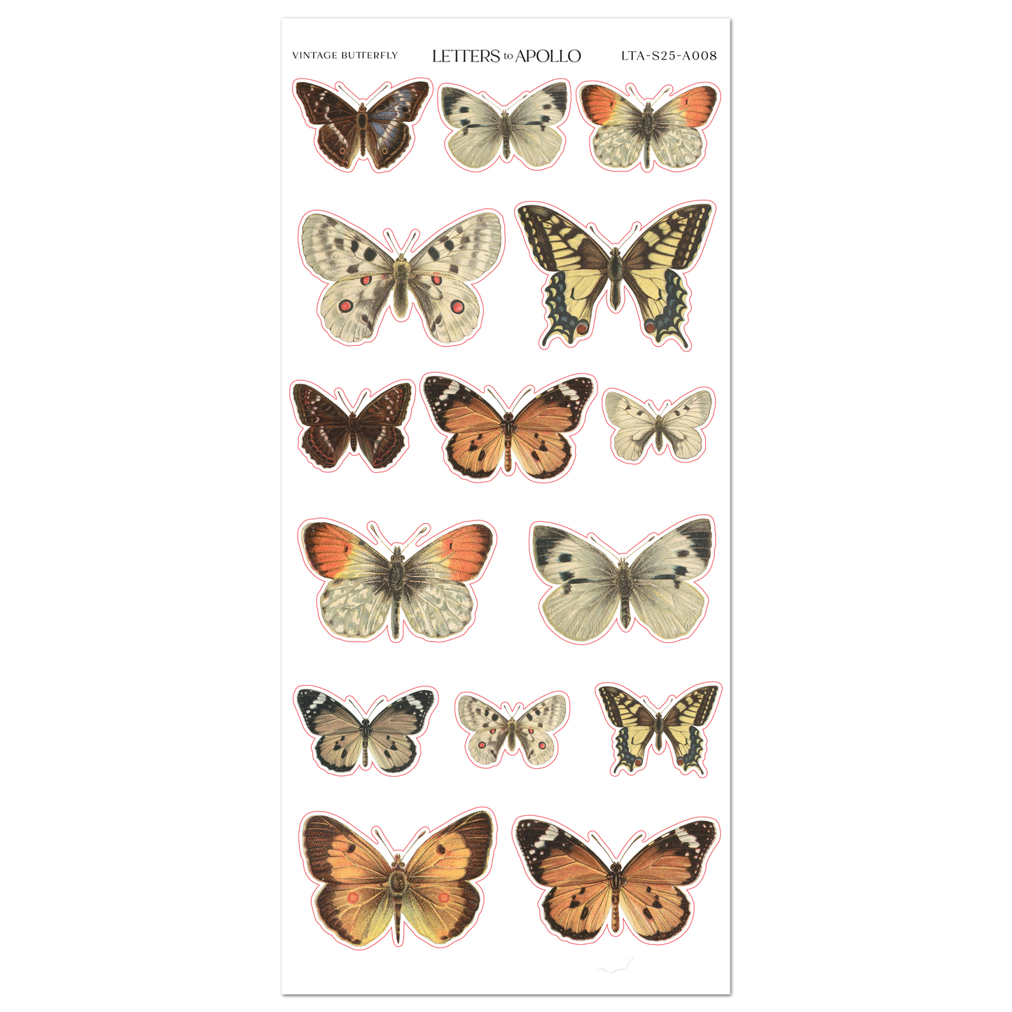 VINTAGE BUTTERFLY