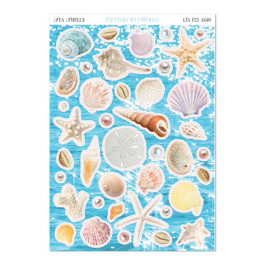SEA SHELLS