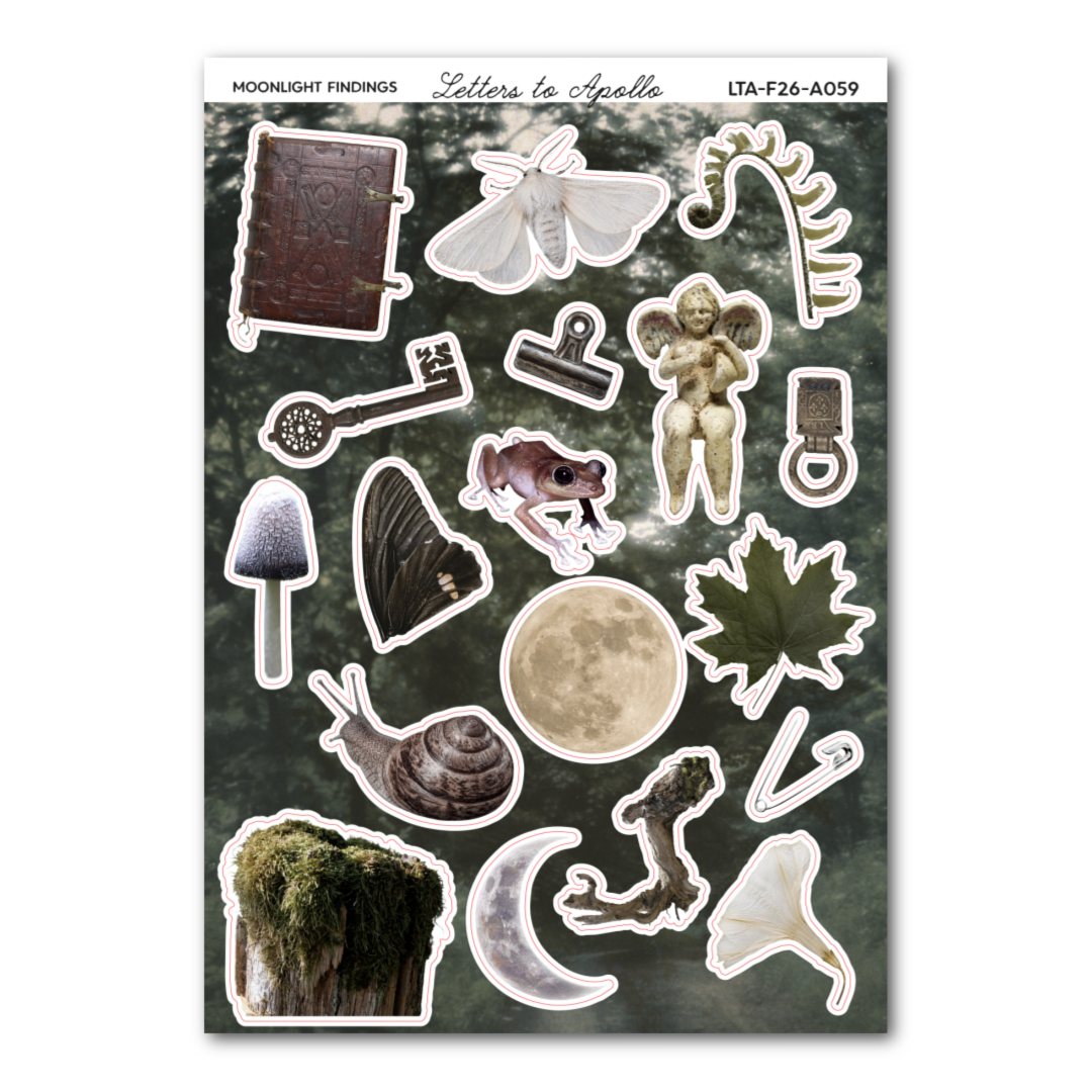MOONLIGHT FINDINGS