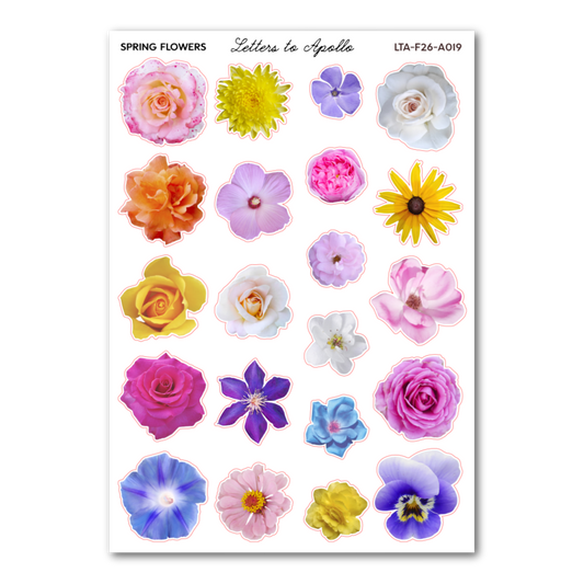 SPRING FLOWERS