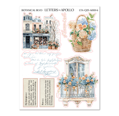 BOTANICAL BLVD BUNDLE