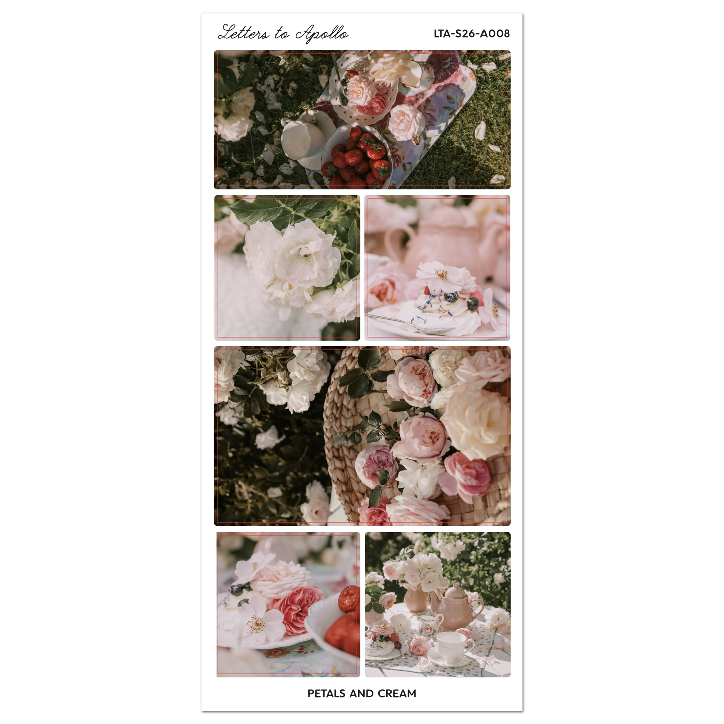 PETAL AND CREAM
