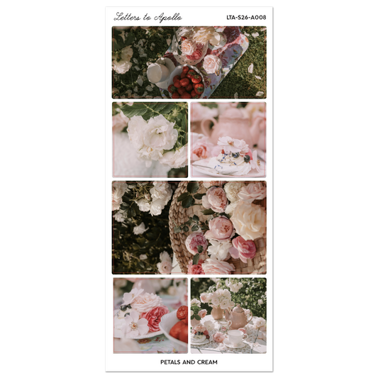 PETAL AND CREAM